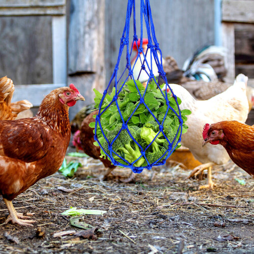 3Pièces Bleu Résistante Pour Animaux 1