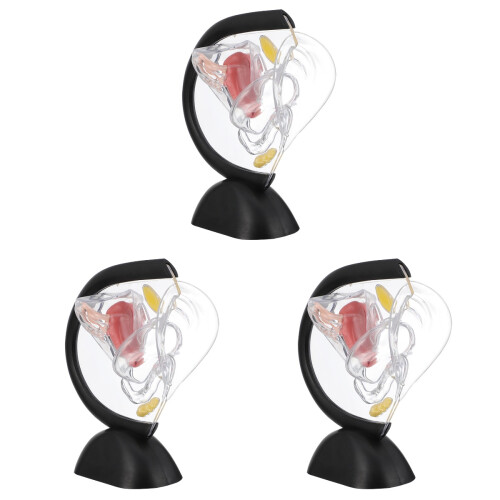 3Pièces De Structure Utérus Durable Transparent Usage Médical 1