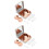 2Ensembles Étui Lentilles Rose Gold Petit ABS Pour Usage 6