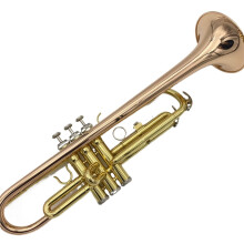 Student Trumpet Gold Plated Brass for Beginners with Bright Sound and Left Hand Reverse Grip