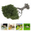 2Pcs High Simulation Miniature Olive Green Trees for Sand Table Decor 10