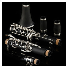 B Flat Clarinet for Adult Beginners with Rich Mellow Tone and Smooth Key Action