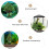 2Pièces Plantes Simulation Pour Terrarium Aquarium 7