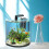 2Pièces Plantes Simulation Pour Terrarium Aquarium 6