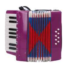 17 Key 8 Bass Kids Piano Accordion with Adjustable Strap, Beginner Accordion Toy Instrument for Children