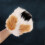 2Paires Mitaines Patte Chat Cosplay Confortable Coloré 9