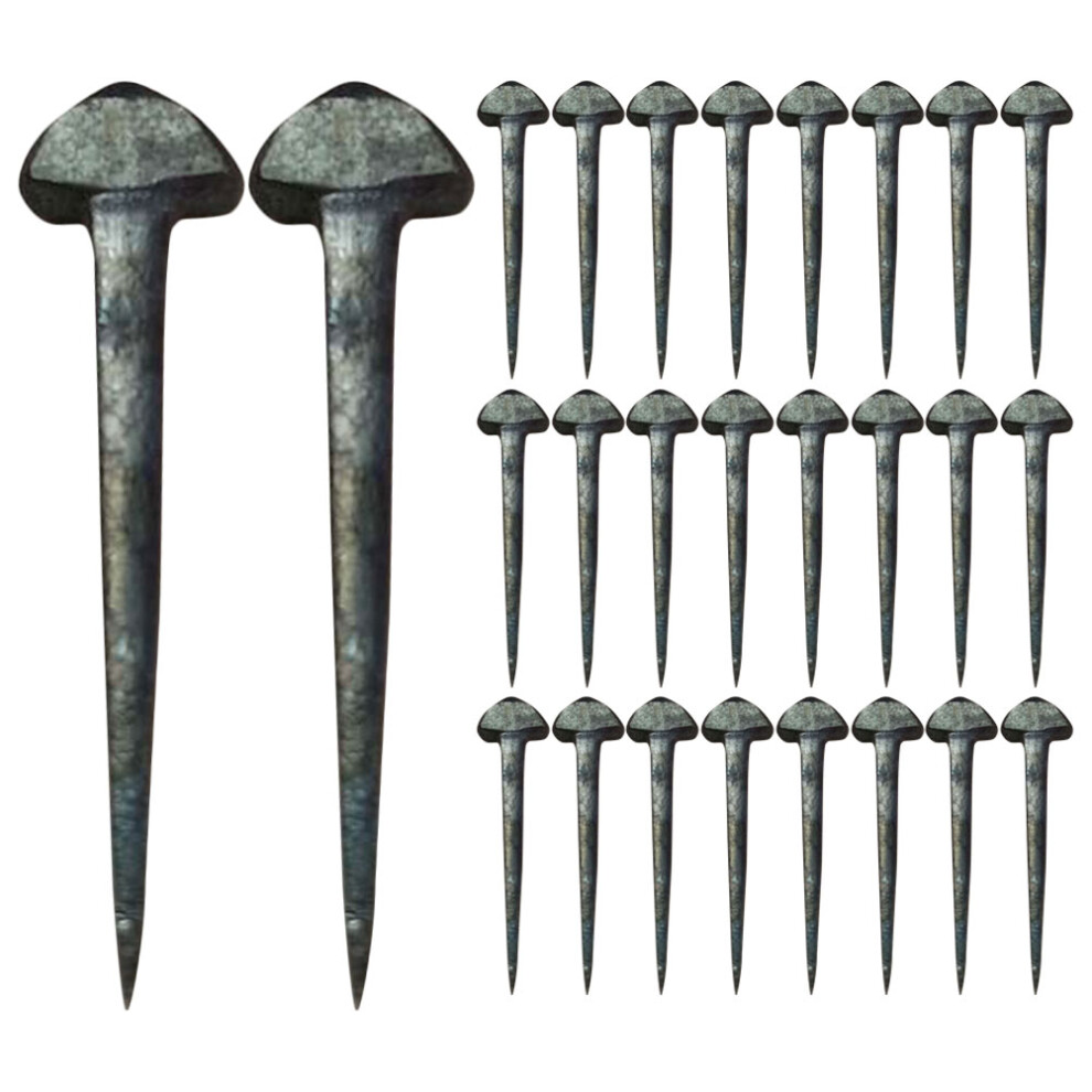 250Pcs Iron Horseshoe Fixing Nails High Tensile Strength Horse Tack 3631600209394