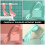 8Pièces Ensemble Cuillères Bébé Formation PP Coloré Ergonomique 10