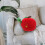 4Pcs Red Plush Cushions Soft Fruit Pillows Decorative Sofa Chair 11
