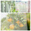 12Pcs Multi Breathable Mesh Drawstring Plant Covers Netting Barrier 9