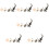6Sets Realistic Growth Cycle Figures Educational Kid Toy 10