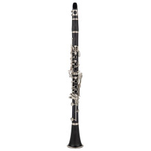 Professional B Flat Clarinet with Nickel Silver Keys, Bakelite Body, Case – Clear Smooth Tone