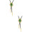 2Pièces Cravate Bolo Verte Accessoire Western Et Casual Pour 9
