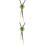 2Pièces Cravate Bolo Verte Accessoire Western Et Casual Pour 7
