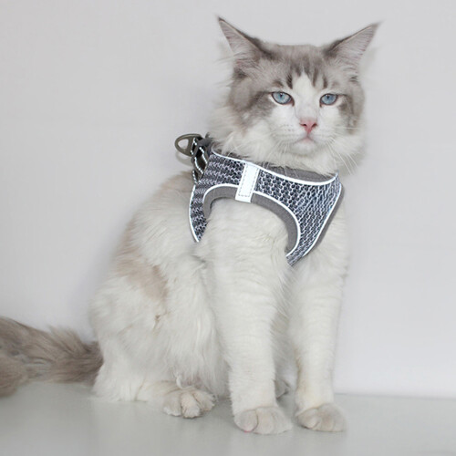 2Pièces Poitrine Réfléchissant Gilet Confortable Chat 2