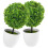 6Pcs Decorative Artificial Boxwood Topiary Balls for Indoor Use 1