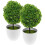 6Pcs Decorative Artificial Boxwood Topiary Balls for Indoor Use 5