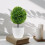 6Pcs Decorative Artificial Boxwood Topiary Balls for Indoor Use 8