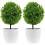 6Pcs Decorative Artificial Boxwood Topiary Balls for Indoor Use 9