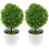 6Pcs Decorative Artificial Boxwood Topiary Balls for Indoor Use 4
