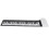 49 Key Roll Up Piano Keyboard for Beginners, Foldable Silicone Design with Speaker and Playback 2