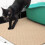 2Pièces Coussinets Imperméables Absorbants Pour Animaux 2