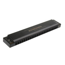 24 Hole C Key Tremolo Harmonica for Beginners with Clear Tremolo Tone and Protective Case