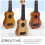 2Pièces Ukulélé Enfant Instrument Musical Éducatif 6