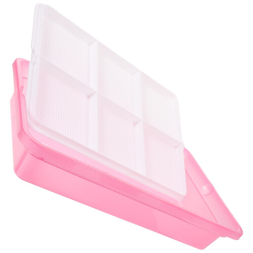 5Pièces Bac Hydroponique À Chat Rose Double Couche Pratique 2