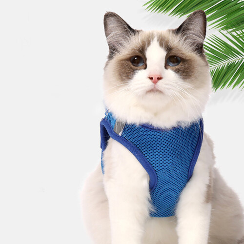 3Pièces Animal Gilet Confortable Durable Respirant 1