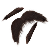 5Ensembles Barbes Fausse En Pour Décoration Et Costume