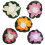 10Pièces Décorations Lotus LED Étanches Multicolores Pour Événements 8