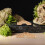 2Pièces Modèles Pont Miniature En Bois Assemblage Facile Style Ancien 3