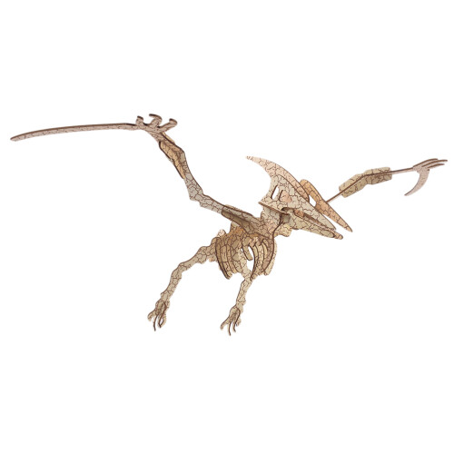 2 Pièces Kit 3D En Bois Ptérosaurien Pour Enfants