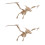 2 Pièces Kit 3D En Bois Ptérosaurien Pour Enfants 5