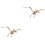 2 Pièces Kit 3D En Bois Ptérosaurien Pour Enfants 3
