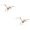 2 Pièces Kit 3D En Bois Ptérosaurien Pour Enfants 6