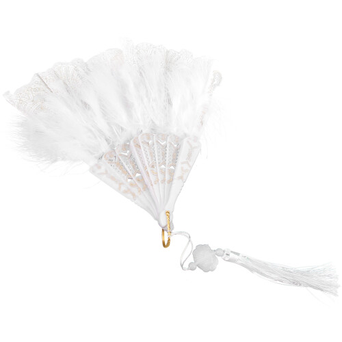 5Pièces Éventail Décoratif Plume Main Lady Performance 2