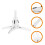 4Pièces Support Clarinette Compact ABS Transparent Pour Débutants 5