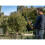 DeWalt DeWalt DCMHT520N Compact Hedge Trimmer 18V - DCMHT520N-XJ 6