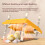 Chick Brooder Heating Plate 25x25cm, Adjustable Height 15W Chicken Brooder Heater for 15 Chicks 2