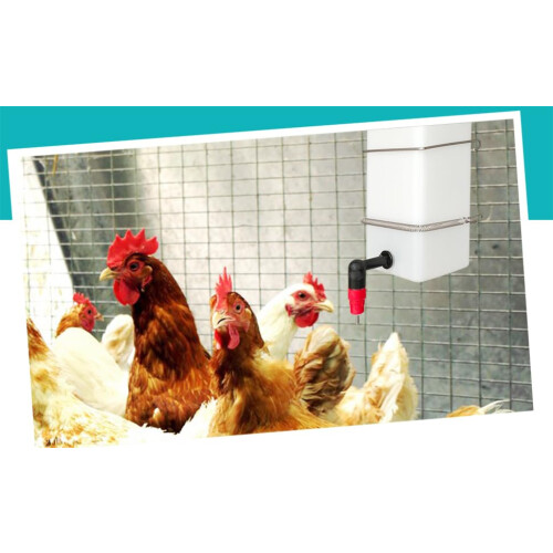 1L Automatic Chicken Waterer with Easy Refill Flip Lid, Hanging Poultry Drinking Cup System Red 2