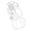 2Pièces Dies De Découpe Acier Carbone Pour Scrapbooking DIY 3