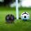 1Ensemble Stylo Golf ABS Noir Clip 3