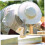 Honey Extractor Valve with Precise Flow Control, Leak Honey Gate for Beekeeping 3