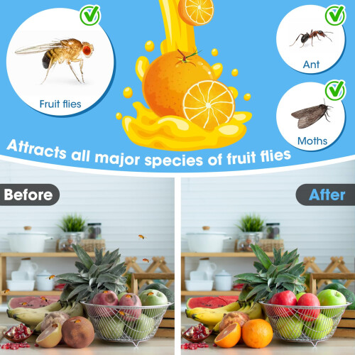 Fruit Fly Trap Refill Liquid 4 Pack, Indoor Gnat Trap Killer for Kitchen, Easy Refill Targeted Attraction 2