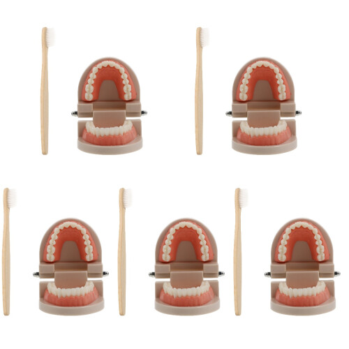 5Ensembles Kits Éducatif Résine Coloré Usage Pédagogique 1