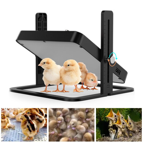 Chick Brooder Heating Plate with Adjustable Temperature Control Electric Poultry Heater 110V 1