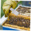 Stainless Steel Bee Hive Tool Beekeeping Scraper with Ergonomic Grip for Easy Hive Separation 5