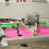 2Pcs Compact Heat Press Handle Fixture Iron Plastic Clamping Accessory 5